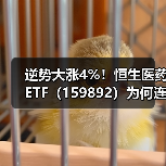 逆势大涨4%！恒生医药ETF（159892）为何连续获资金抢筹？（图4）