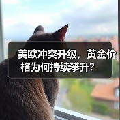 美欧冲突升级,黄金价格为何持续攀升?(图3) 美欧冲突升级,黄金价格为何持续攀升?(图3)