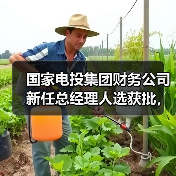 国家电投集团财务公司新任总经理人选获批，谁将接棒？（图1）