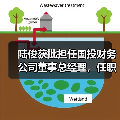 陆俊获批担任国投财务公司董事总经理,任职资格审核要点解析(图1) 陆俊获批担任国投财务公司董事总经理,任职资格审核要点解析(图1)