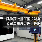 陆俊获批担任国投财务公司董事总经理,任职资格审核要点解析(图4) 陆俊获批担任国投财务公司董事总经理,任职资格审核要点解析(图4)
