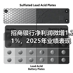 招商银行净利润微增1.21%,2025年业绩表现如何?(图4) 招商银行净利润微增1.21%,2025年业绩表现如何?(图4)