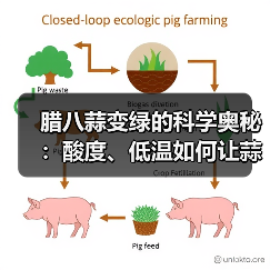 腊八蒜变绿的科学奥秘:酸度、低温如何让蒜变绿?(图4) 腊八蒜变绿的科学奥秘:酸度、低温如何让蒜变绿?(图4)