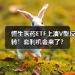 恒生医药ETF上演V型反转！套利机会来了？（图3）