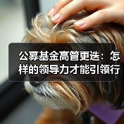 公募基金高管更迭:怎样的领导力才能引领行业转型?(图1) 公募基金高管更迭:怎样的领导力才能引领行业转型?(图1)