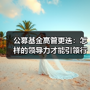 公募基金高管更迭:怎样的领导力才能引领行业转型?(图4) 公募基金高管更迭:怎样的领导力才能引领行业转型?(图4)