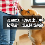 股票型ETF净流出5000亿背后:成交额成关键考量(图2) 股票型ETF净流出5000亿背后:成交额成关键考量(图2)