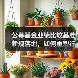 公募基金业绩比较基准新规落地,如何重塑行业规范与发展?(图4) 公募基金业绩比较基准新规落地,如何重塑行业规范与发展?(图4)