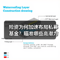 险资为何加速布局私募基金?瞄准哪些高潜力赛道?(图2) 险资为何加速布局私募基金?瞄准哪些高潜力赛道?(图2)
