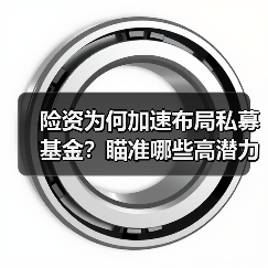 险资为何加速布局私募基金?瞄准哪些高潜力赛道?(图1) 险资为何加速布局私募基金?瞄准哪些高潜力赛道?(图1)