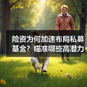 险资为何加速布局私募基金?瞄准哪些高潜力赛道?(图4) 险资为何加速布局私募基金?瞄准哪些高潜力赛道?(图4)