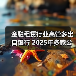 金融租赁行业高管多出自银行 2025年多家公司人事更替(图2) 金融租赁行业高管多出自银行 2025年多家公司人事更替(图2)