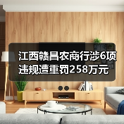 江西赣昌农商行涉6项违规遭重罚258万元(图2) 江西赣昌农商行涉6项违规遭重罚258万元(图2)