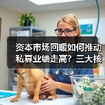 资本市场回暖如何推动私募业绩走高?三大核心因素解析(图3) 资本市场回暖如何推动私募业绩走高?三大核心因素解析(图3)