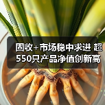 固收+市场稳中求进 超550只产品净值创新高（图3）