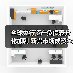 全球央行资产负债表分化加剧 新兴市场成资金新宠(图4) 全球央行资产负债表分化加剧 新兴市场成资金新宠(图4)