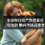 全球央行资产负债表分化加剧 新兴市场成资金新宠(图3) 全球央行资产负债表分化加剧 新兴市场成资金新宠(图3)