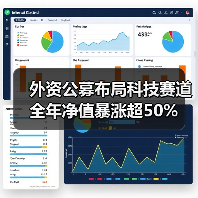 外资公募布局科技赛道 全年净值暴涨超50%(图3) 外资公募布局科技赛道 全年净值暴涨超50%(图3)