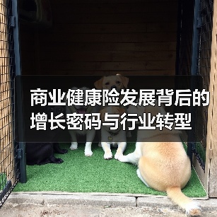 商业健康险发展背后的增长密码与行业转型(图2) 商业健康险发展背后的增长密码与行业转型(图2)