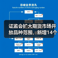 证监会扩大期货市场开放品种范围,新增14个期权品种引入境外交易者(图4) 证监会扩大期货市场开放品种范围,新增14个期权品种引入境外交易者(图4)