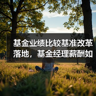 基金业绩比较基准改革落地,基金经理薪酬如何挂钩?(图2) 基金业绩比较基准改革落地,基金经理薪酬如何挂钩?(图2)