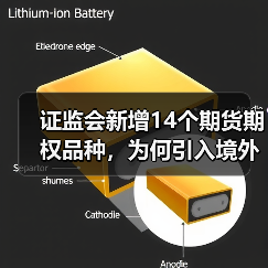证监会新增14个期货期权品种,为何引入境外交易者?(图3) 证监会新增14个期货期权品种,为何引入境外交易者?(图3)