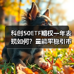 科创50ETF期权一年表现如何？量能平稳