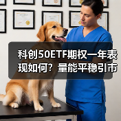 科创50ETF期权一年表现如何？量能平稳引市场关注（图4）