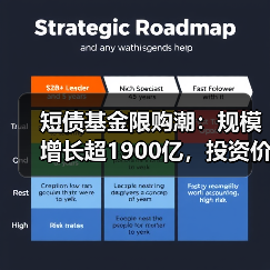 短债基金限购潮：规模增长超1900亿，投资价值几何？（图4）