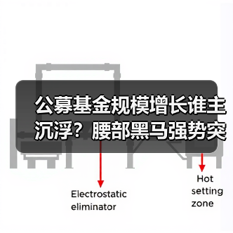 公募基金规模增长谁主沉浮?腰部黑马强势突围(图2) 公募基金规模增长谁主沉浮?腰部黑马强势突围(图2)