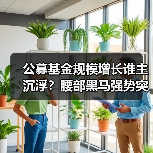 公募基金规模增长谁主沉浮?腰部黑马强势突围(图1) 公募基金规模增长谁主沉浮?腰部黑马强势突围(图1)