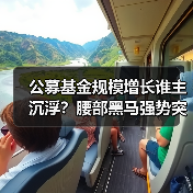 公募基金规模增长谁主沉浮?腰部黑马强势突围(图4) 公募基金规模增长谁主沉浮?腰部黑马强势突围(图4)