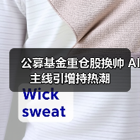 公募基金重仓股换帅 AI主线引增持热潮(图4) 公募基金重仓股换帅 AI主线引增持热潮(图4)