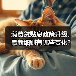 消费贷贴息政策升级,最新细则有哪些变化?(图3) 消费贷贴息政策升级,最新细则有哪些变化?(图3)