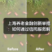 上海养老金融创新举措:如何通过信托服务解决老龄化难题?(图2) 上海养老金融创新举措:如何通过信托服务解决老龄化难题?(图2)