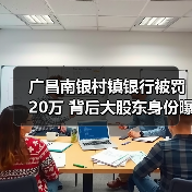 广昌南银村镇银行被罚20万 背后大股东身份曝光(图3) 广昌南银村镇银行被罚20万 背后大股东身份曝光(图3)