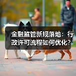 金融监管新规落地:行政许可流程如何优化?(图4) 金融监管新规落地:行政许可流程如何优化?(图4)