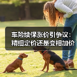 车险续保涨价引争议:精细定价还是变相加价?(图3) 车险续保涨价引争议:精细定价还是变相加价?(图3)