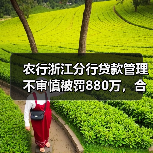 农行浙江分行贷款管理不审慎被罚880万，合规问题引警示（图3）