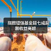 指数增强基金超七成超额收益亮眼（图3）