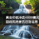 黄金价格冲高4800美元 回调风险是否已到临界点?(图2) 黄金价格冲高4800美元 回调风险是否已到临界点?(图2)