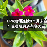 LPR为何连续8个月未变?降准降息还有多大空间?(图3) LPR为何连续8个月未变?降准降息还有多大空间?(图3)