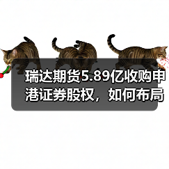 瑞达期货5.89亿收购申港证券股权,如何布局综合金融服务?(图4) 瑞达期货5.89亿收购申港证券股权,如何布局综合金融服务?(图4)