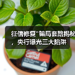 征信修复
