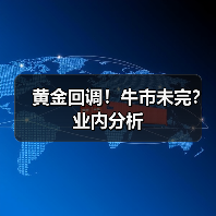 黄金回调！牛市未完？业内分析