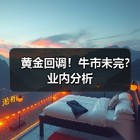黄金回调！牛市未完？业内分析（图2）