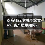 农商银行净利润微增5.04% 资产质量如何?(图4) 农商银行净利润微增5.04% 资产质量如何?(图4)