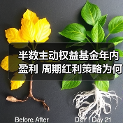 半数主动权益基金年内盈利 周期红利策略为何成关键？（图2）