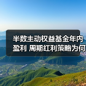 半数主动权益基金年内盈利 周期红利策略为何成关键？（图3）