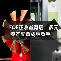 FOF正收益背后：多元资产配置成胜负手（图3）